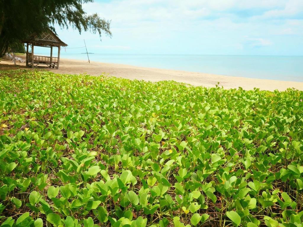Bayview Beach Resort Ban Krut  Zewnętrze zdjęcie